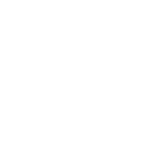 white logo